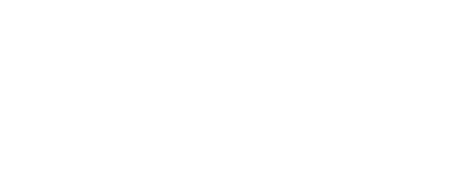 The CV Firm